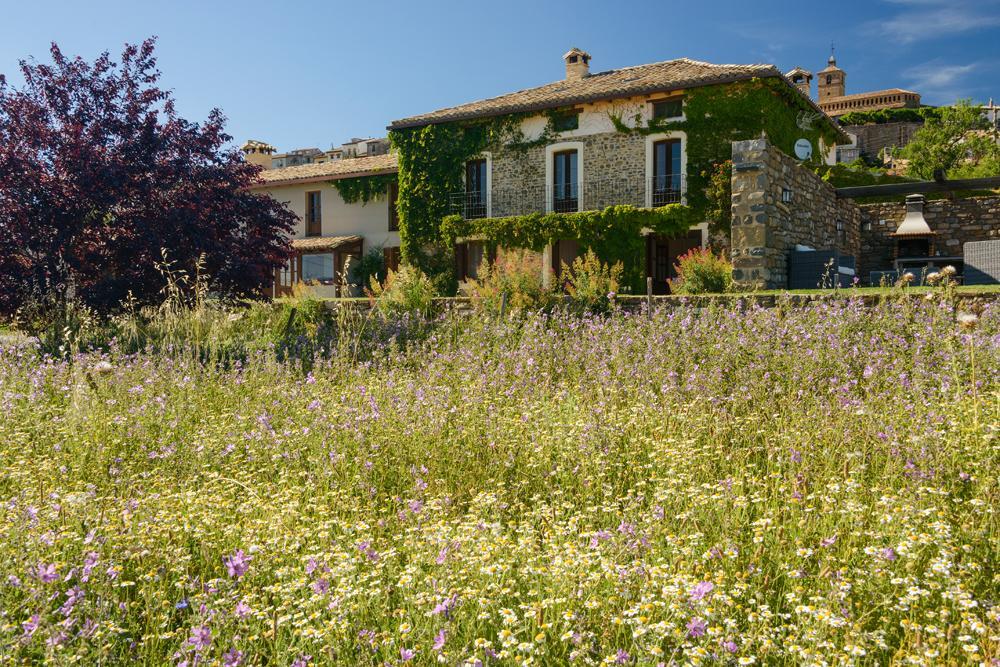 Casa Sarasa Guest House Berdun Eksteriør bilde